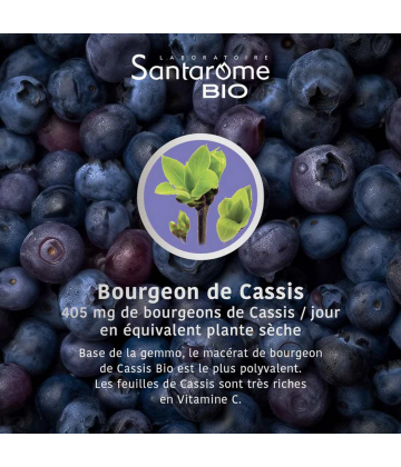 Santarome Bio Cassis 30 ml