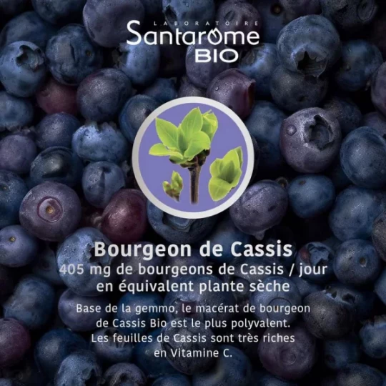 Santarome Bio Cassis 30 ml - image 5