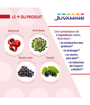 Juvamine Expert Brûle-Graisse Jour/Nuit Comprimés x 60