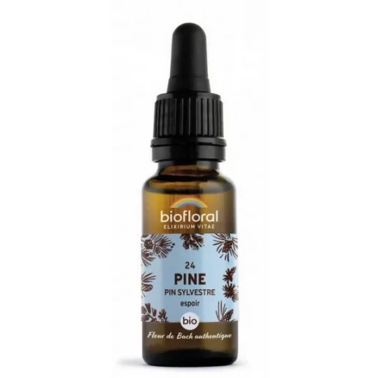 Biofloral Fleurs de Bach 24 Pin Sylvestre 20 ml