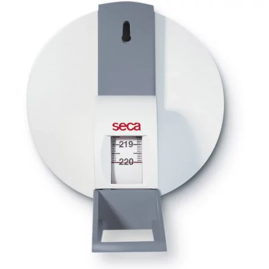 Seca 206 Toise Adulte avec Loupe 220 cm