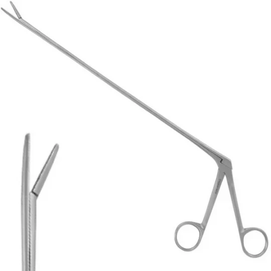 Pince Circéron en Acier Inoxydable