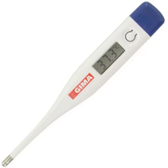 Gima Thermomètre Digital Électronique