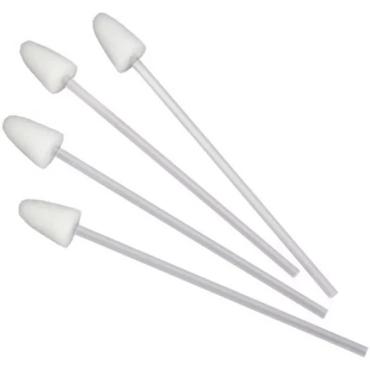 Didactic Bâtonnets Soin de Bouche avec Petit Cône en Mousse x 10