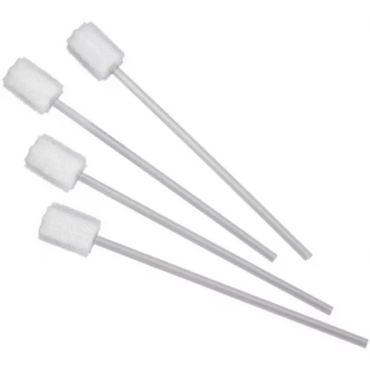 Bâtonnets Soin de Bouche Étoile en Mousse
