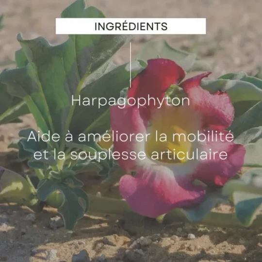 Weleda Extraits de Plantes Harpagophyton Bio Articulation 100 ml - image 4