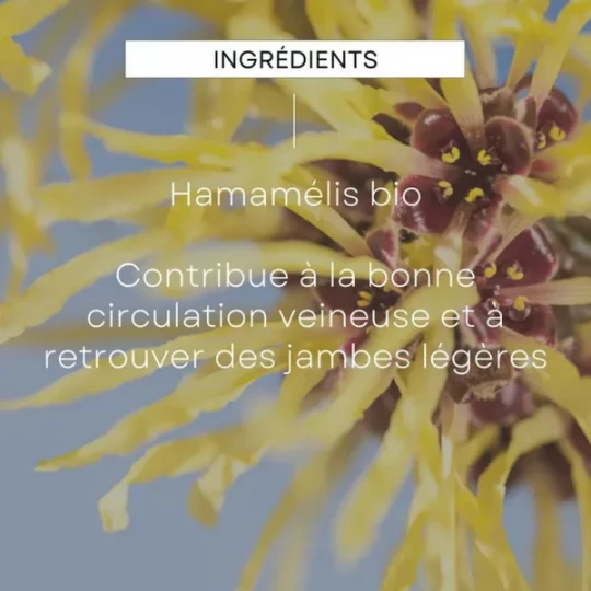 Weleda Extraits de Plantes Hamamélis Bio Circulation 100 ml - image 4
