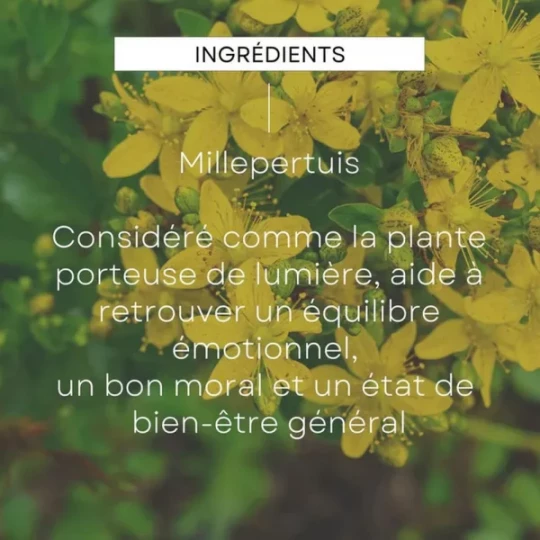 Weleda Extraits de Plantes Millepertuis Bio Moral 100 ml - image 4