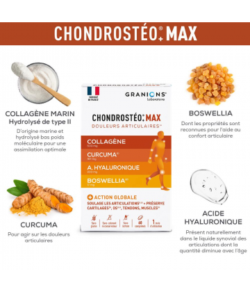 Chondrostéo+ Max Comprimés x 60 - image 5