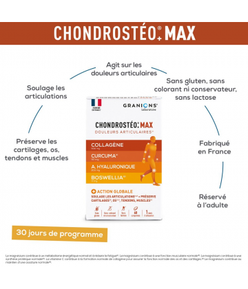Chondrostéo+ Max Comprimés x 60 - image 2