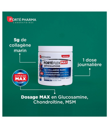 Forté Pharma Forté Flex Max Articulations 260 g