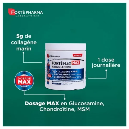 Forté Pharma Forté Flex Max Articulations 260 g - image 2