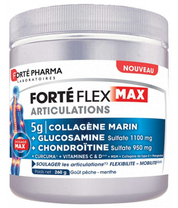 Forté Pharma Forté Flex Max Articulations 260 g