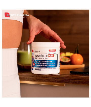 Forté Pharma Forté Flex Max Articulations 260 g