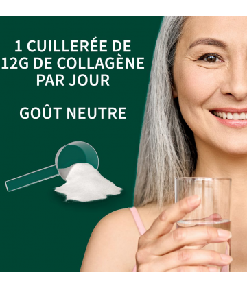 Richelet Peptides de Collagène Poudre 288 g
