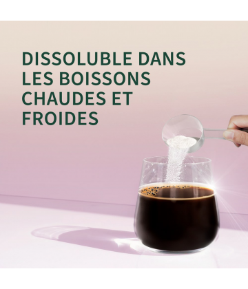 Richelet Peptides de Collagène Poudre 288 g