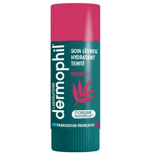 Dermophil Indien Soin Lèvres Hydratant Teinté Prunelle 4 g
