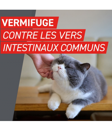 Frontcontrol Wormer Chats Comprimés x 2
