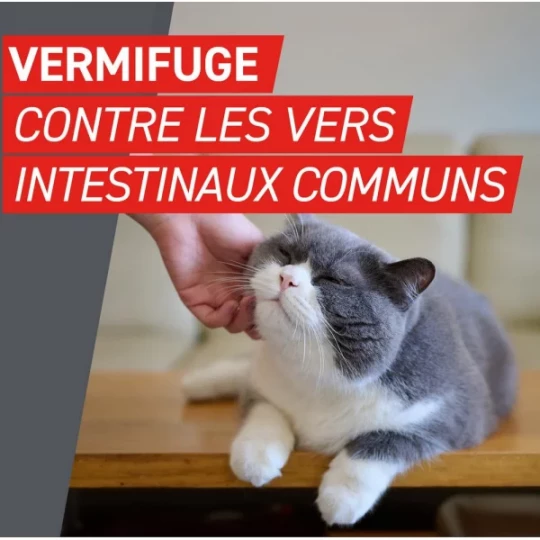 Frontcontrol Wormer Chats Comprimés x 2 - image 3