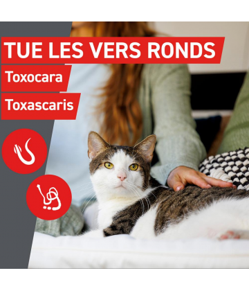 Frontcontrol Wormer Chats Comprimés x 2