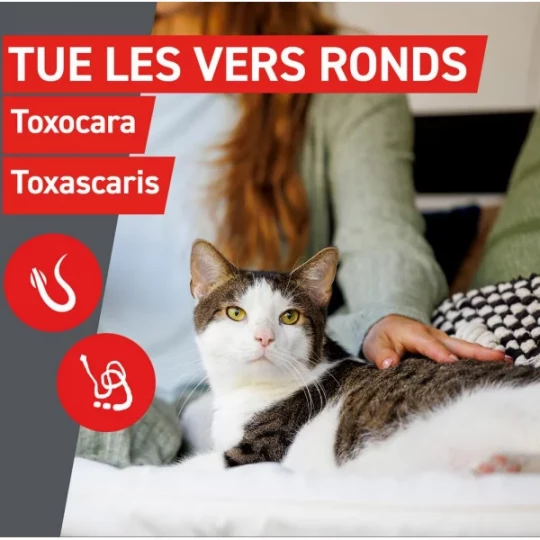 Frontcontrol Wormer Chats Comprimés x 2 - image 4