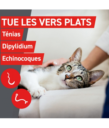 Frontcontrol Wormer Chats Comprimés x 2