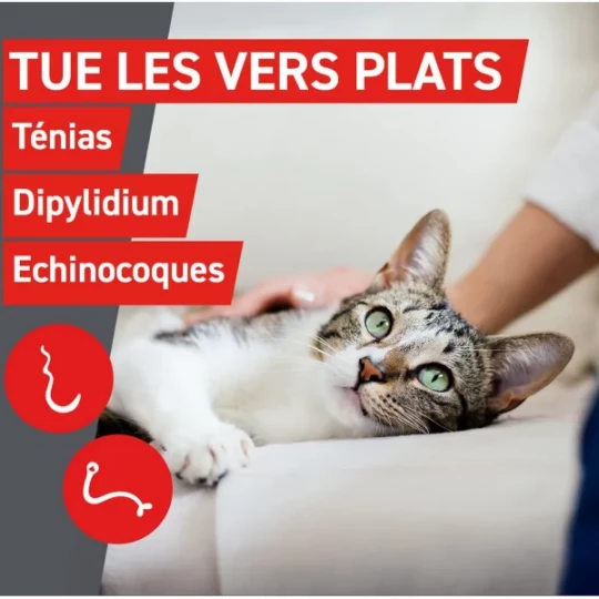 Frontcontrol Wormer Chats Comprimés x 2 - image 5