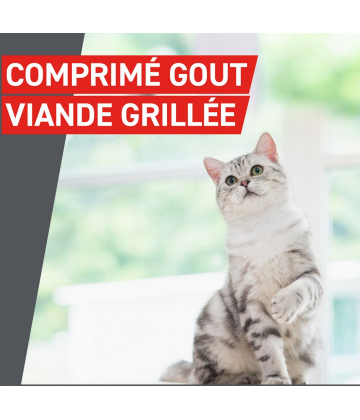 Frontcontrol Wormer Chats Comprimés x 2