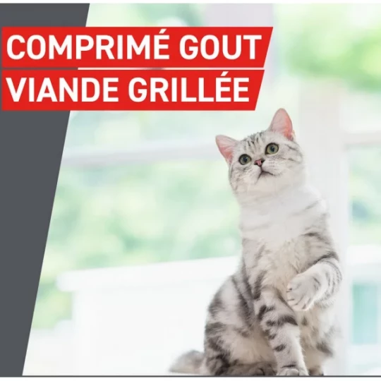 Frontcontrol Wormer Chats Comprimés x 2 - image 6