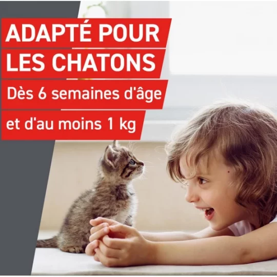 Frontcontrol Wormer Chats Comprimés x 2 - image 7