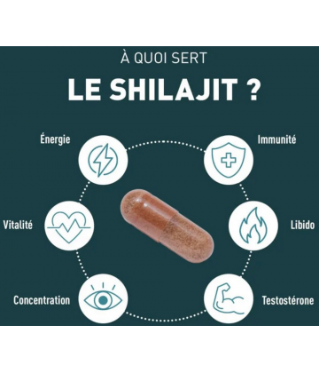 Granions Shilajit 1000 mg Gélules x 60