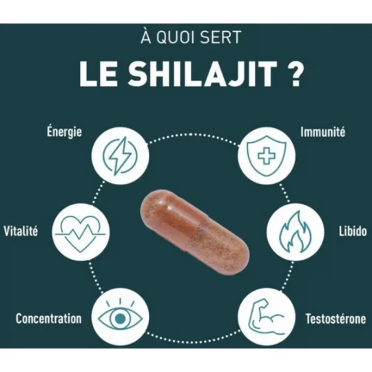 Granions Shilajit 1000 mg Gélules x 60 - image 2