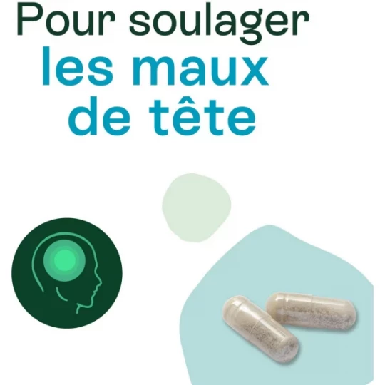 Naturactive Maux de Tête Flash Bio Gélules x 14 - image 2