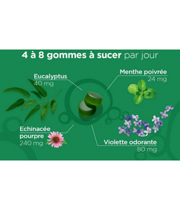 Lehning n°52 Respiration Gommes