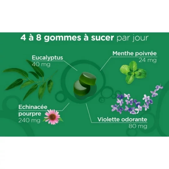 Lehning n°52 Respiration Gommes - image 5