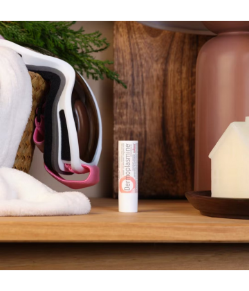 Boiron Dermoplasmine Stick à Lèvres Au Calendula
