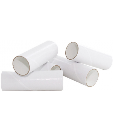 Embouts pour débitmètre Peak Flow Spengler x 100