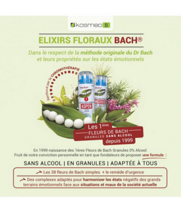 Kosmeo Fleurs de Bach Complexe Charge Mentale Bio Granules x 120