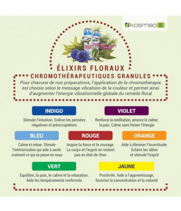 Kosmeo Fleurs de Bach Complexe Charge Mentale Bio Granules x 120