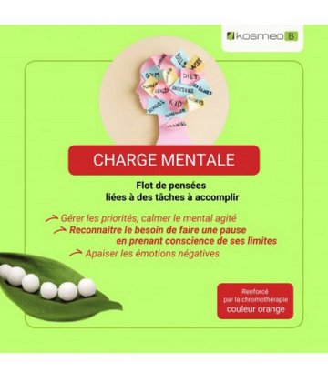Kosmeo Fleurs de Bach Complexe Charge Mentale Bio Granules x 120