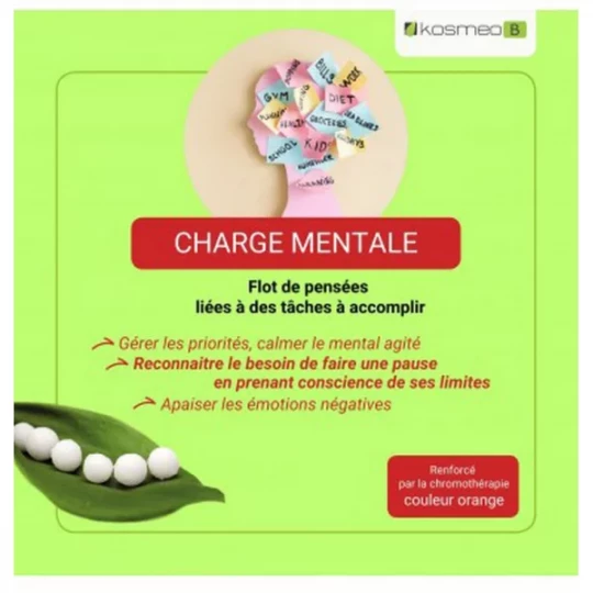 Kosmeo Fleurs de Bach Complexe Charge Mentale Bio Granules x 120 - image 5