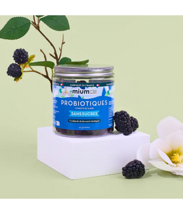 Mium Lab Probiotiques Sans Sucres Gommes x 42