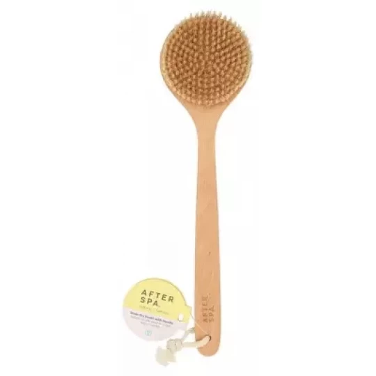 Afterspa Brosse Sèche pour le Corps avec Manche