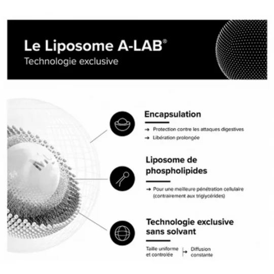 A-Lab Fer Liposomal Gélules x 60 - image 2