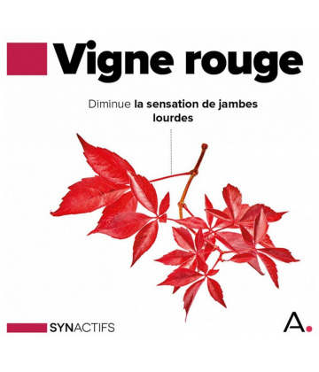 Aragan Synactifs CircActifs Gélules x 60