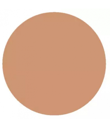Benecos Stick Correcteur de Teint 4,5 g - Teinte : Beige