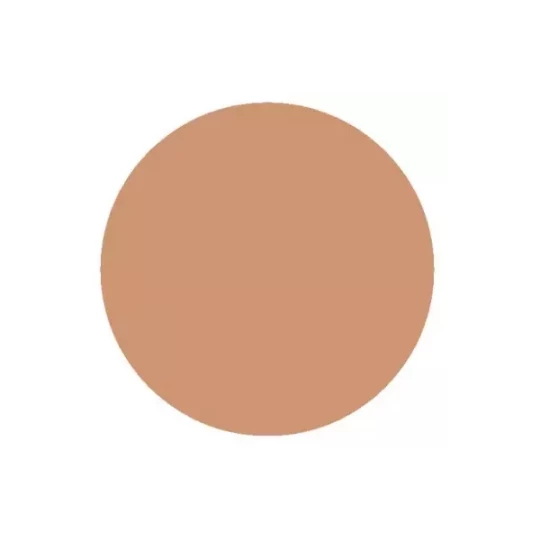 Benecos Stick Correcteur de Teint 4,5 g - Teinte : Beige
