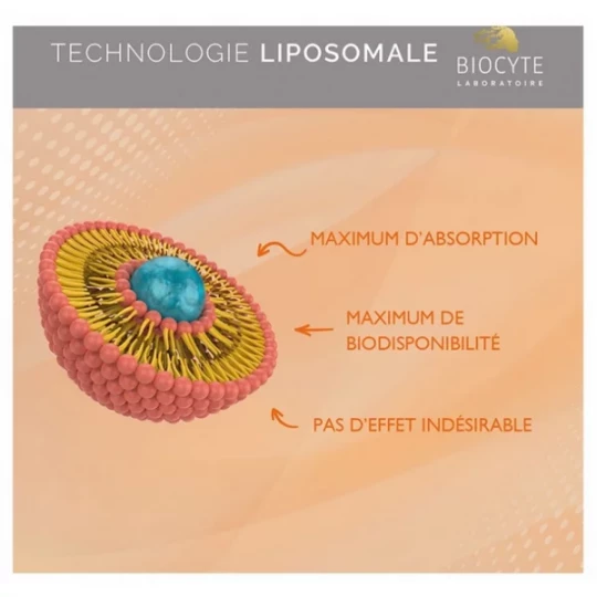 Biocyte Vitamin C Liposomal Gélules x 90 - image 3