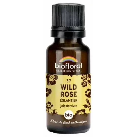 Biofloral Fleurs de Bach 37 Wild Rose Bio 19,5 g