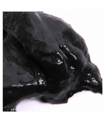 Coslys Dentifrice Charbon Végétal Bio 100 g - image 2